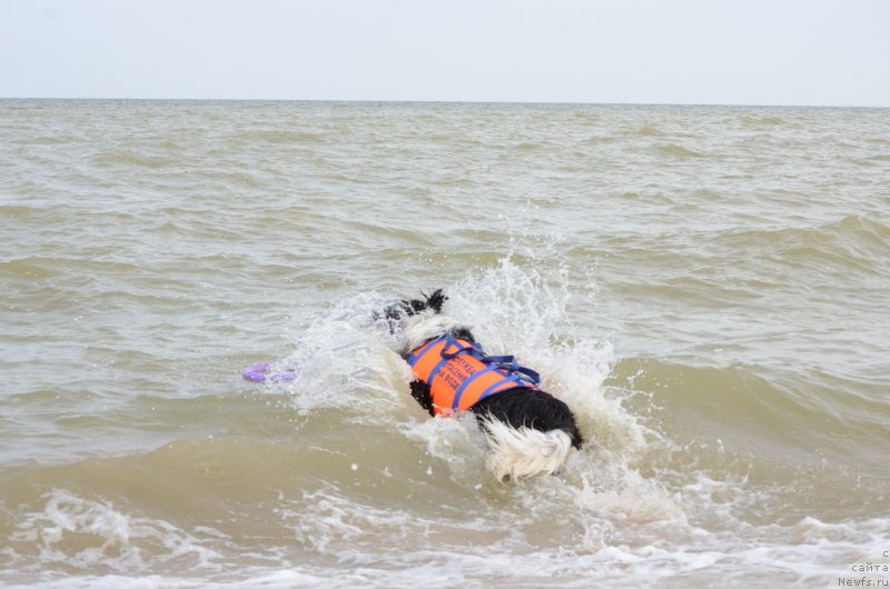 Фотография № 229571