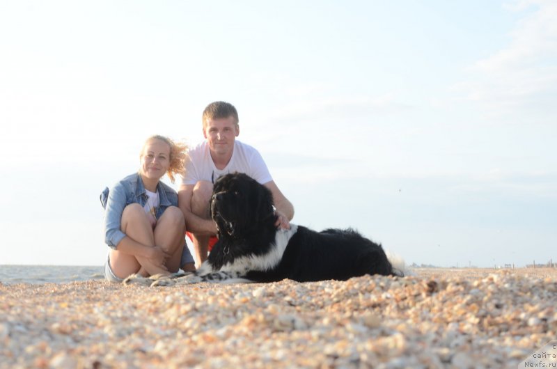 Фотография № 229573