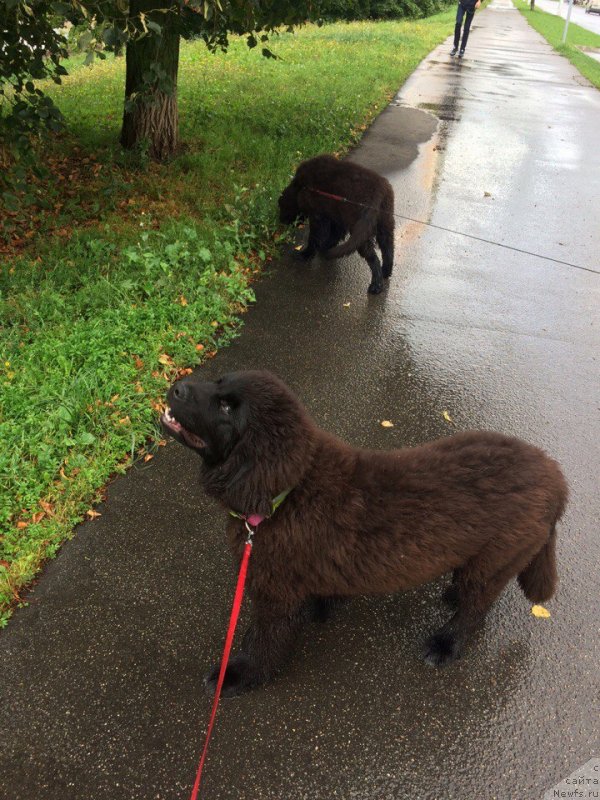 Фотография № 229578