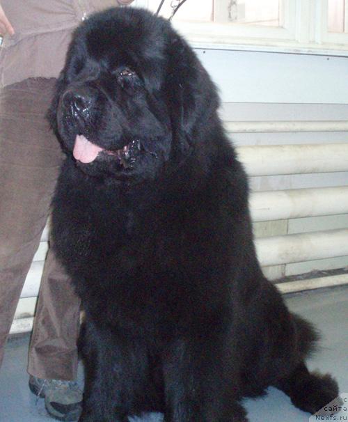 Фотография № 22961