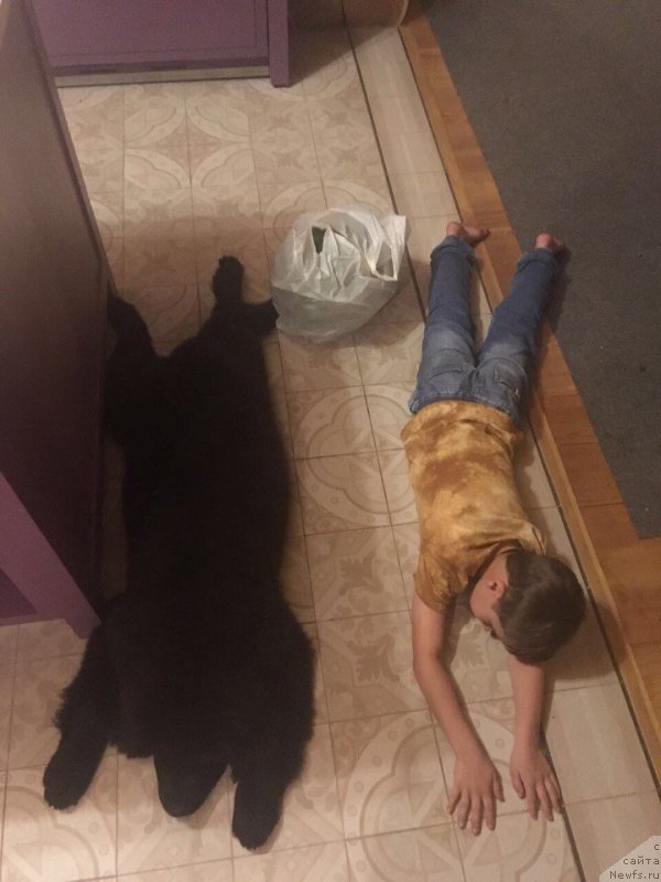 Фотография № 229616