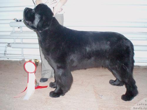 Фотография № 22962