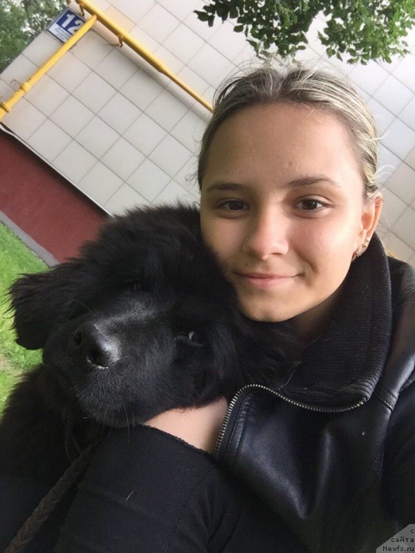 Фотография № 229621