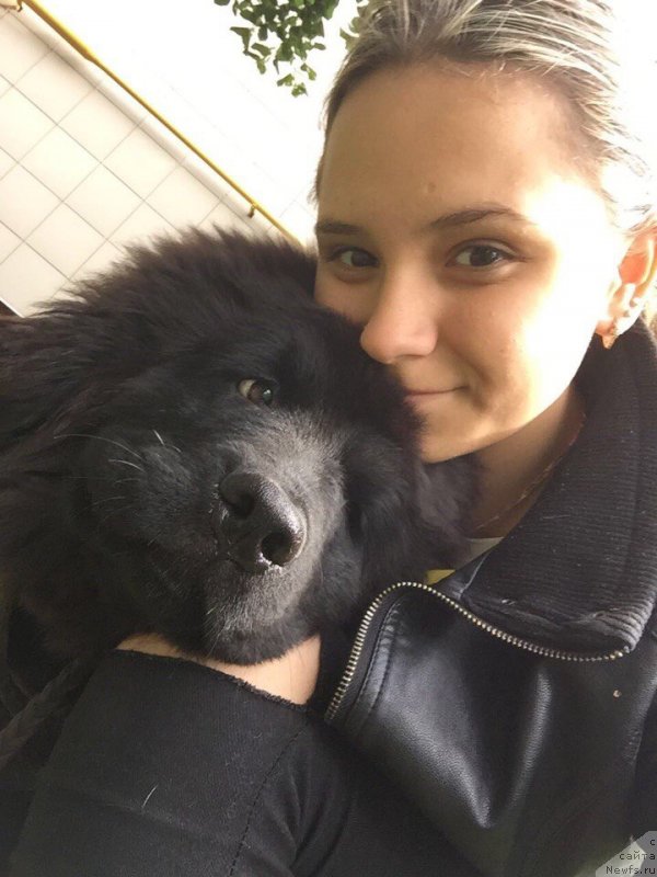 Фотография № 229622