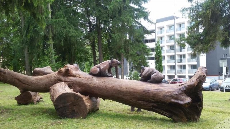 Фотография № 229623