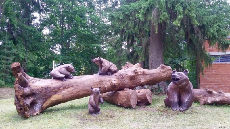 Фотография № 229624