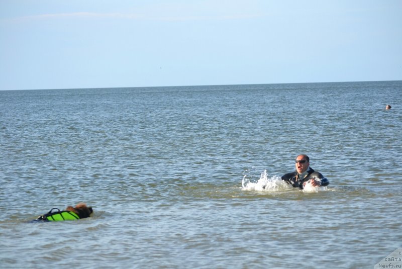 Фотография № 229627