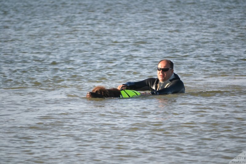 Фотография № 229628