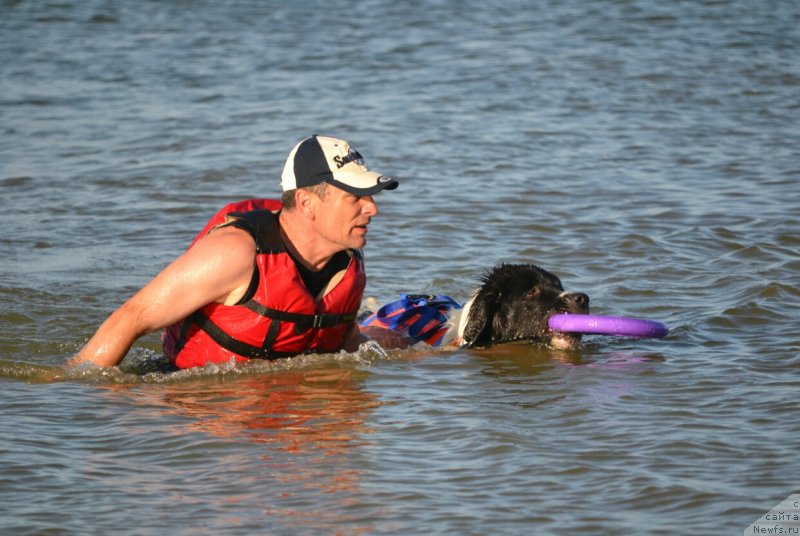 Фотография № 229629