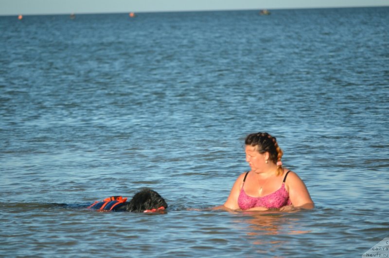 Фотография № 229631