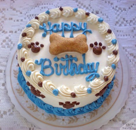 Фото: ньюфаундленд Stepnaya Pal'mira Edinstvennyiy Moy (Степная Пальмира Единственный Мой)