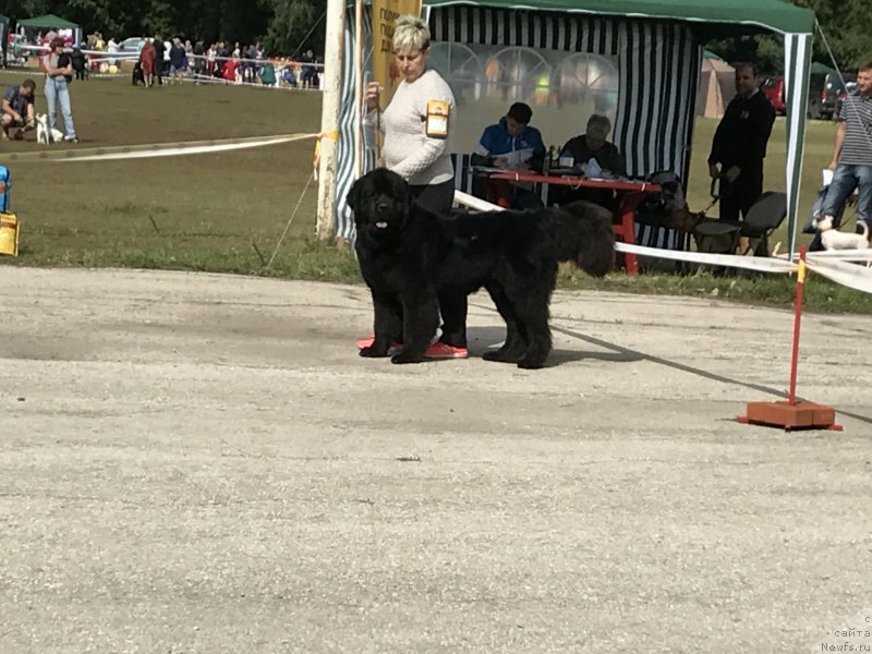 Фотография № 229644