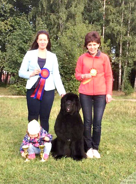 Фотография № 229649