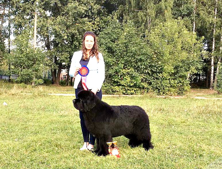 Фотография № 229651