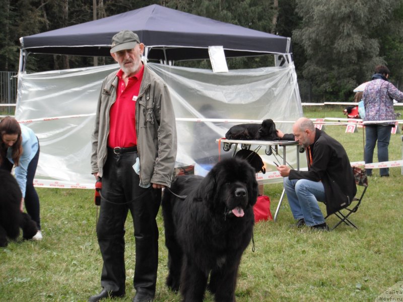 Фото: Черчилль[d13383] и Володя [p782] в ринге