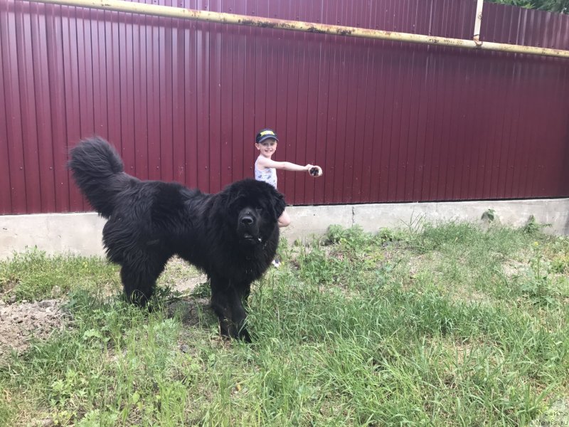 Фотография № 229671