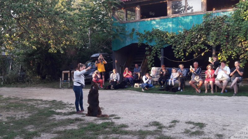 Фотография № 229715