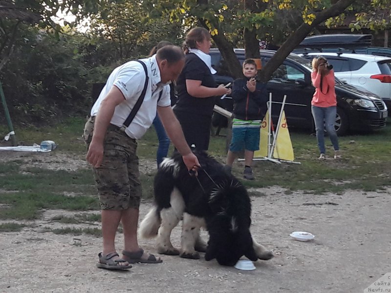 Фотография № 229720