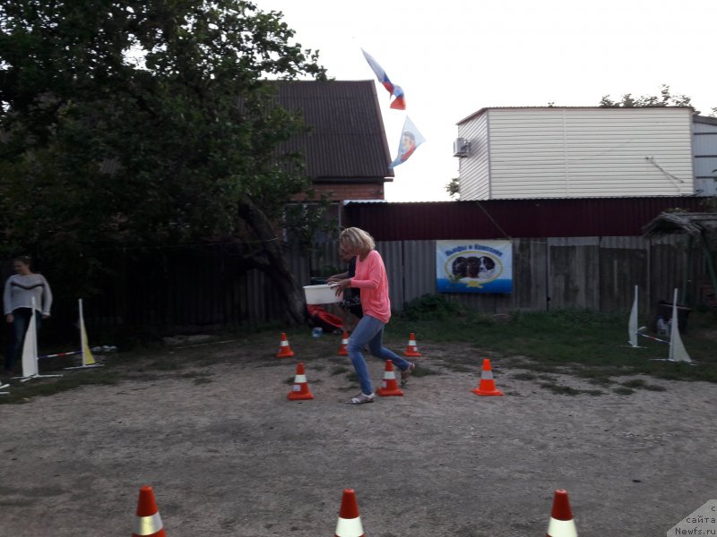 Фотография № 229723