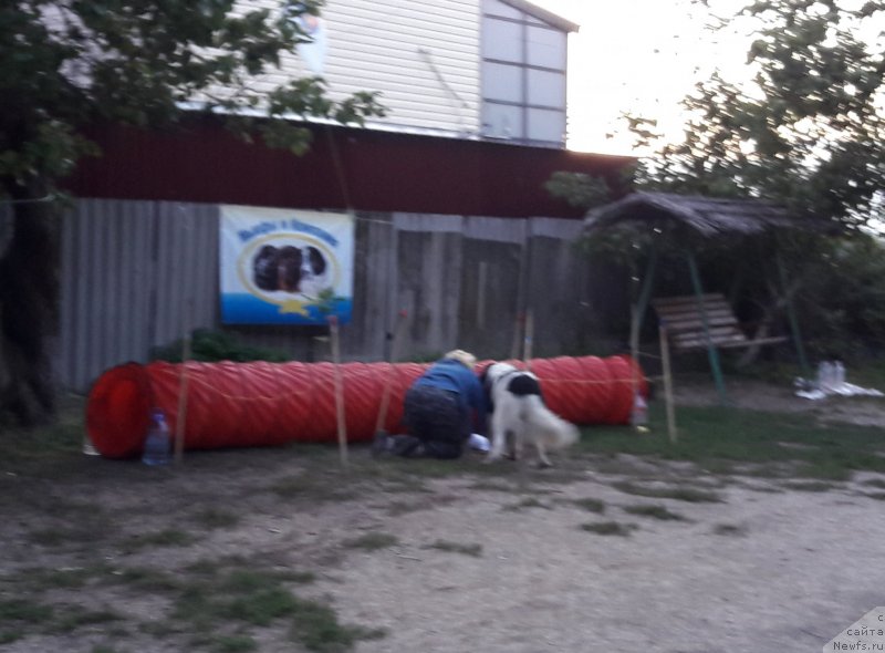 Фотография № 229725