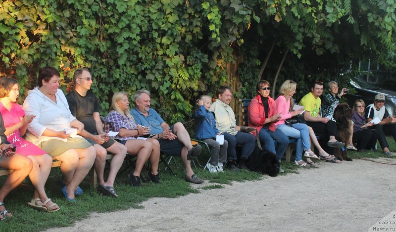 Фотография № 229734