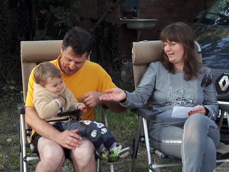 Фотография № 229735