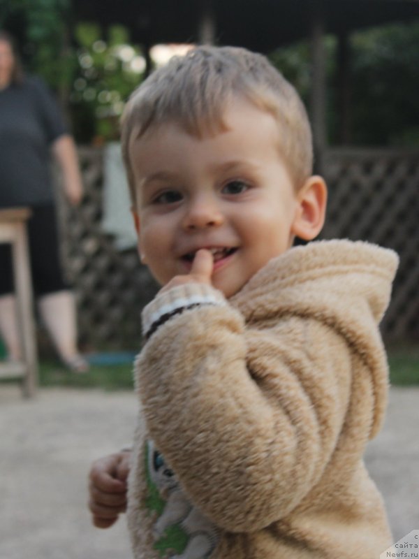 Фотография № 229737