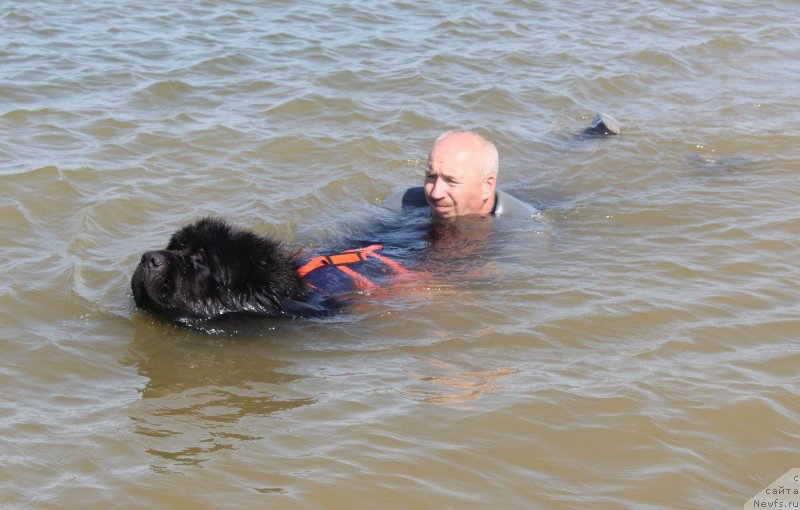 Фотография № 229738