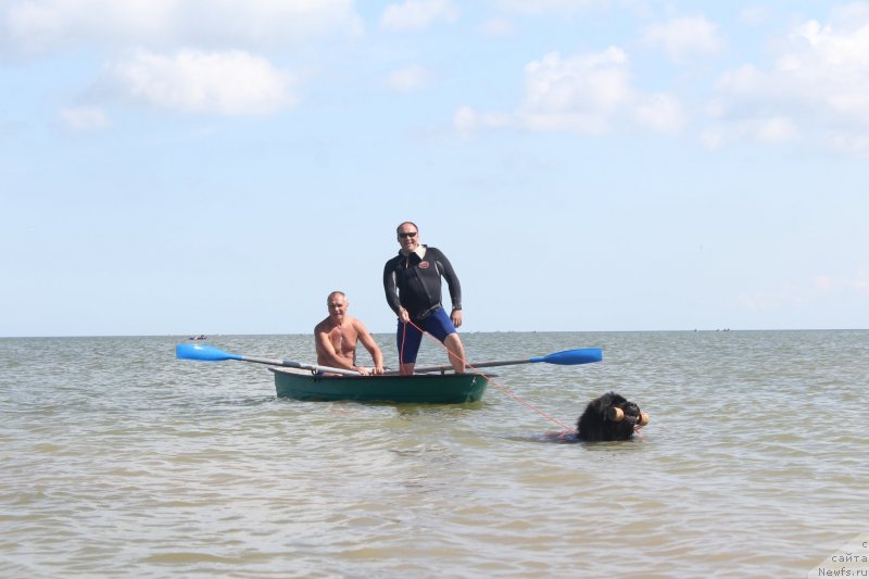 Фотография № 229741