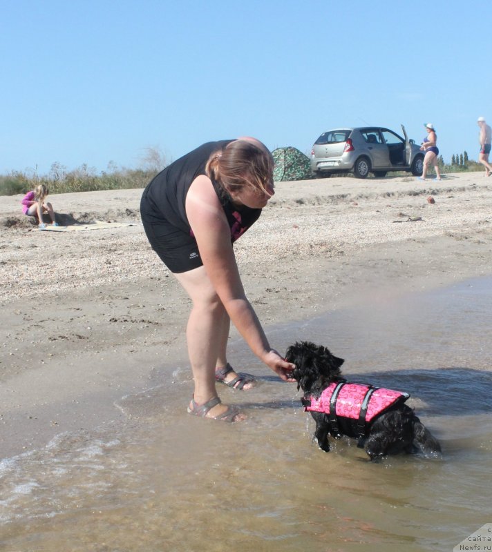 Фотография № 229748