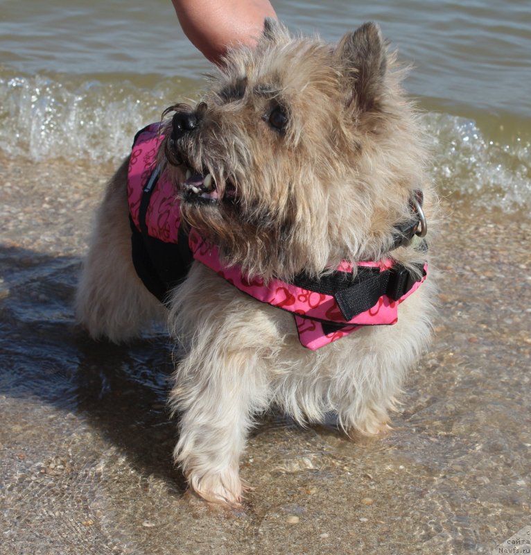 Фотография № 229751