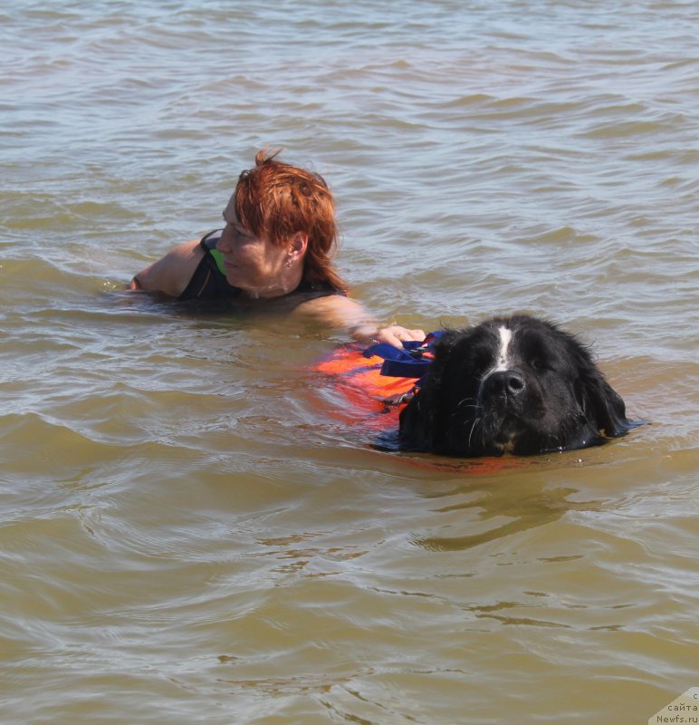 Фотография № 229759