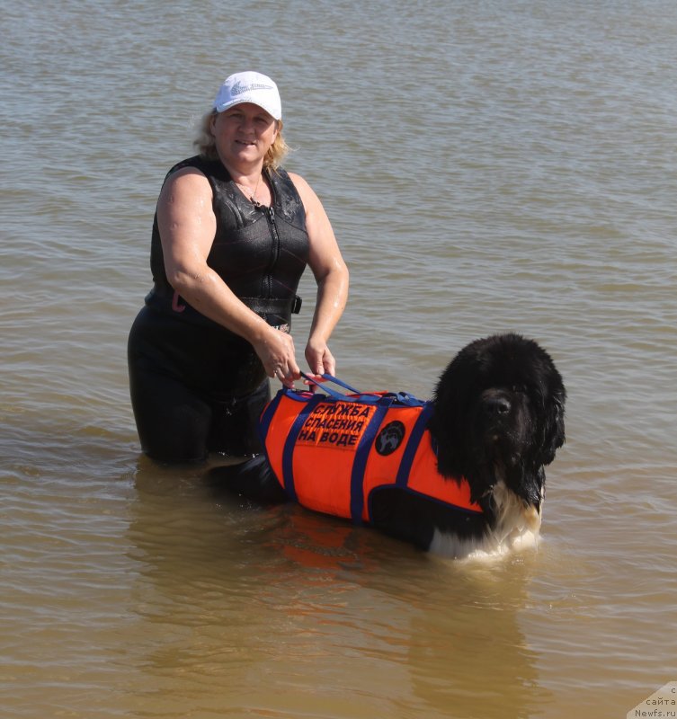 Фотография № 229760