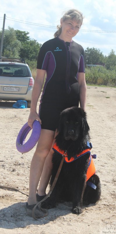 Фотография № 229761