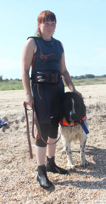 Фотография № 229763