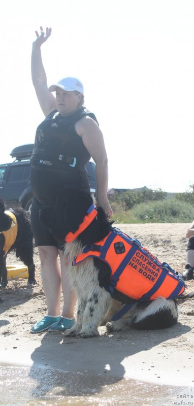 Фотография № 229767