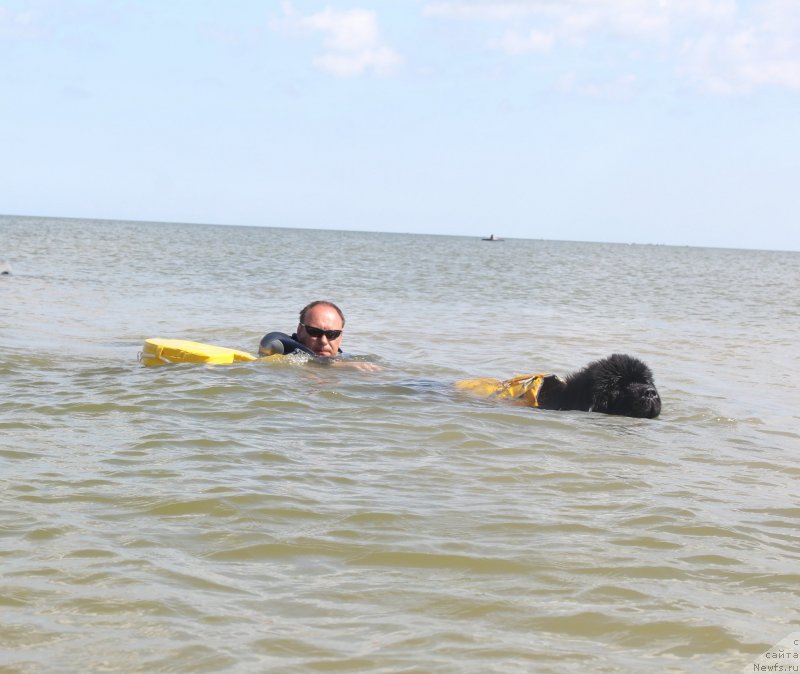 Фотография № 229773