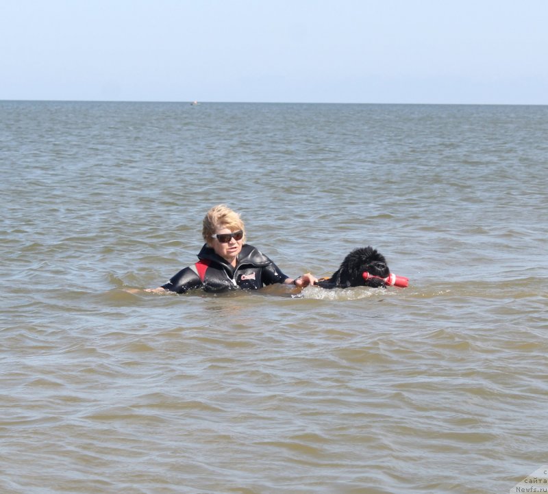 Фотография № 229778