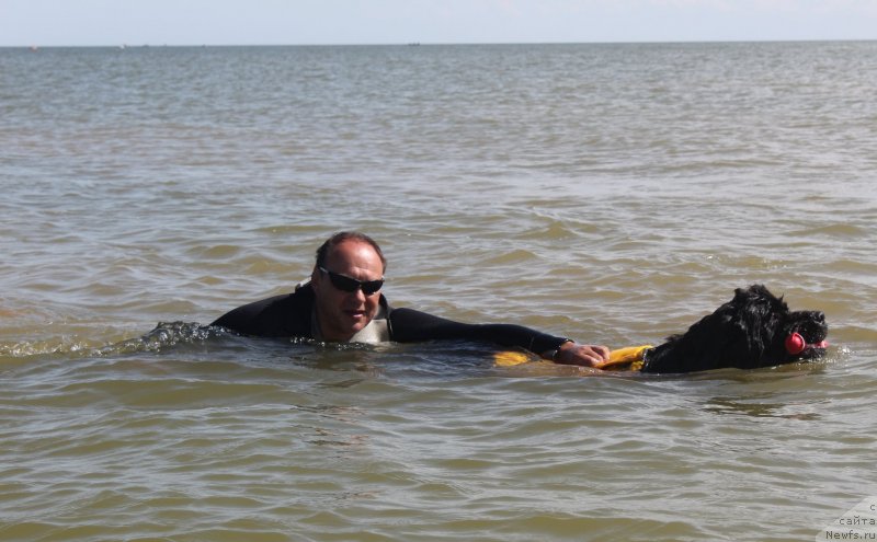 Фотография № 229780