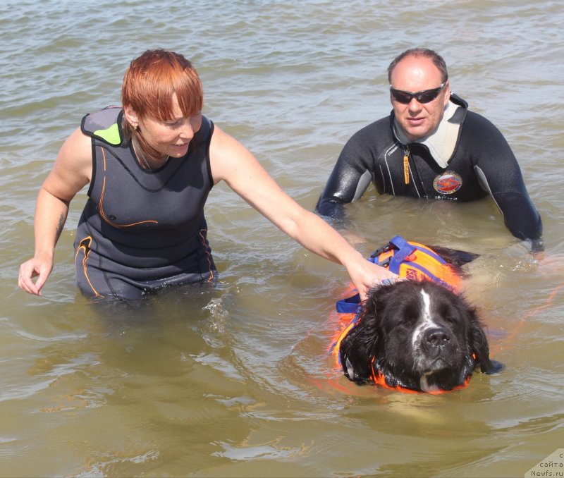 Фотография № 229782