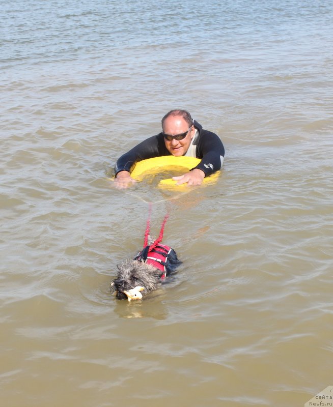 Фотография № 229783