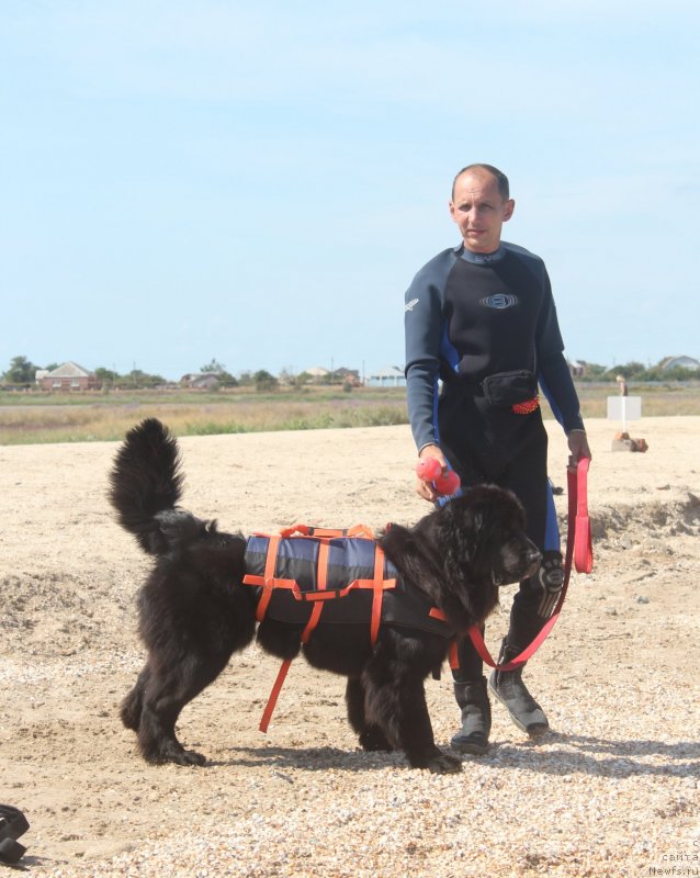 Фотография № 229786