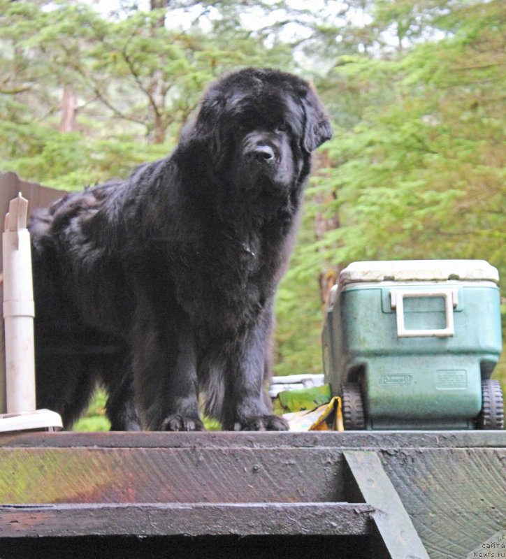 Фотография № 229805