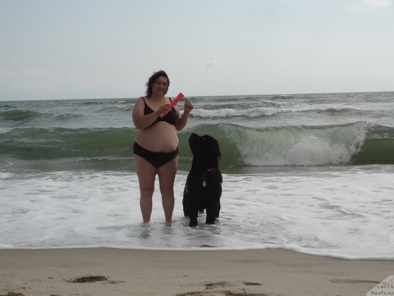 Фотография № 229809