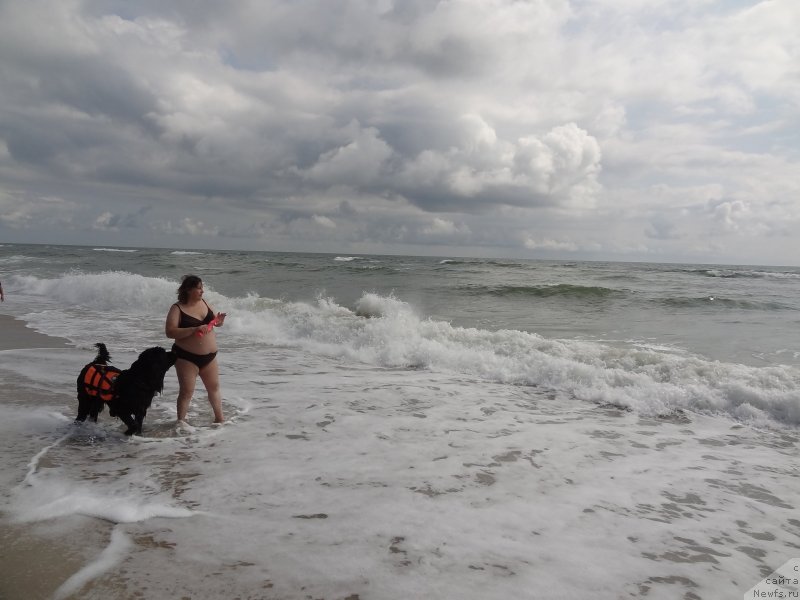 Фотография № 229810