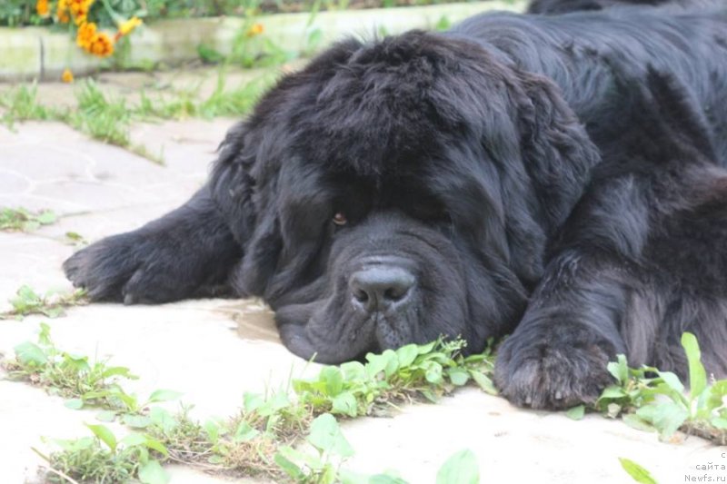 Фотография № 229811