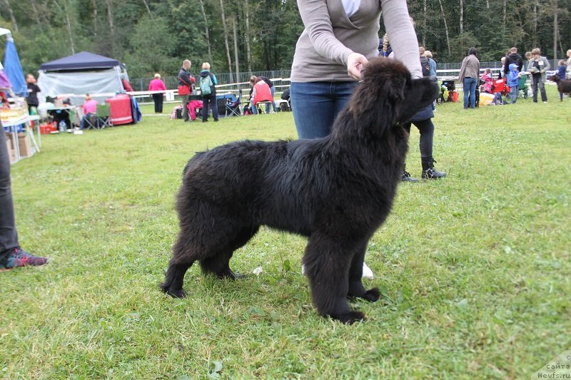 Фотография № 229851