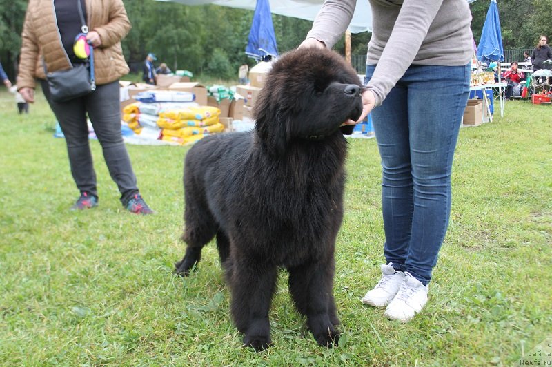 Фотография № 229852