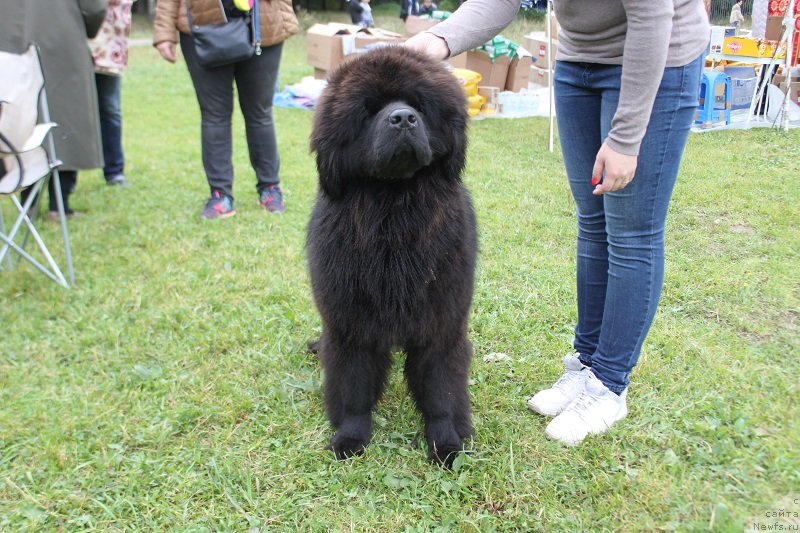 Фотография № 229853