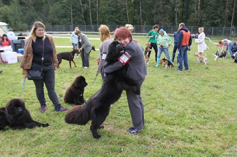 Фотография № 229854